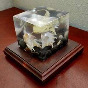 Resin Casting Shark w/Sea Shell Decoration